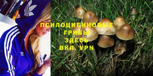 кокаин премиум Богданович