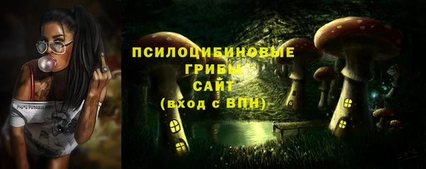 сатива Наволоки