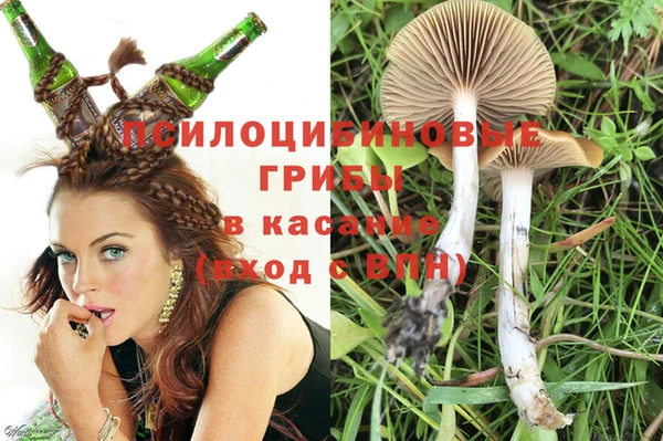 дмт Нея