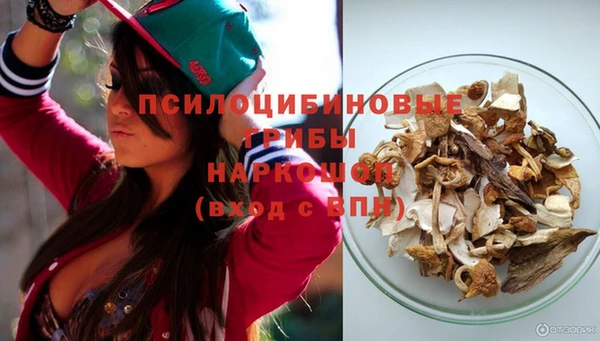 сатива Богородск